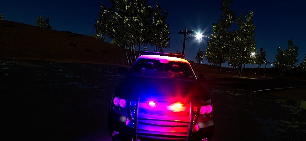 [VR交流学习] 执法警察 VR (Police Enforcement VR : 1-King-27)
