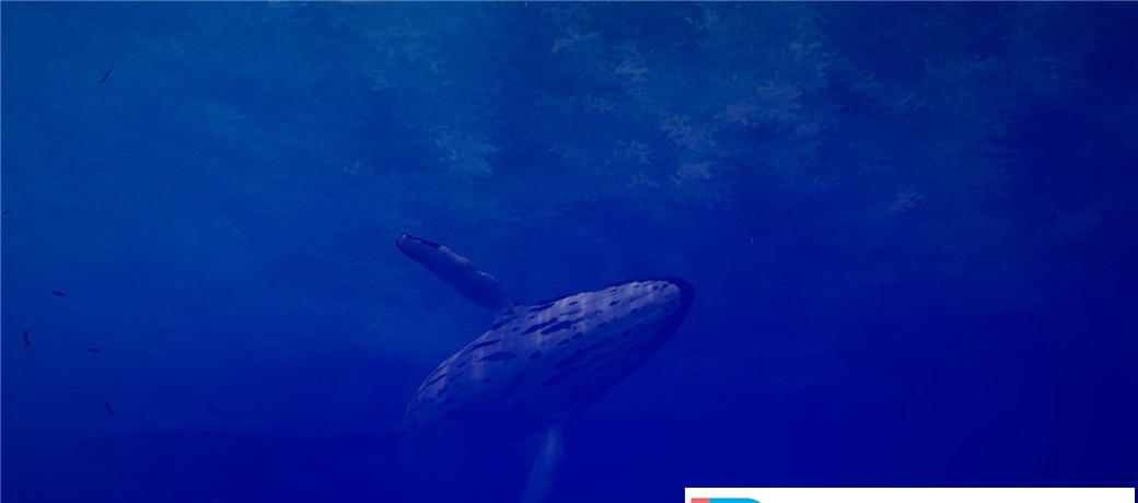 [VR交流学习] 海的呼唤 VR (Call of the Ocean) vr game crack