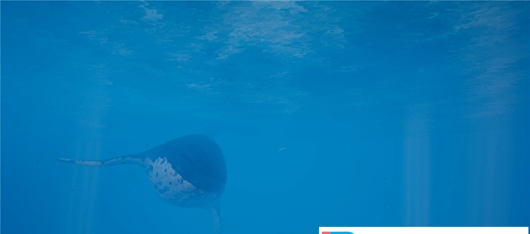 [VR交流学习] 海的呼唤 VR (Call of the Ocean) vr game crack