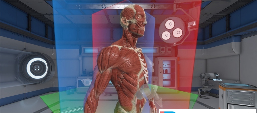 [VR交流学习] 眼镜生理学 VR (The Physiology of the Eye) vr game crack