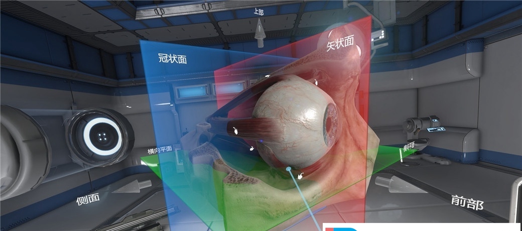 [VR交流学习] 眼镜生理学 VR (The Physiology of the Eye) vr game crack