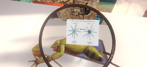 [VR交流学习] 解剖模拟器:青蛙 (Dissection Simulator: Frog Edition)