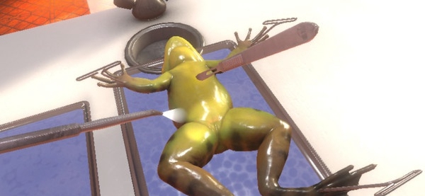 [VR交流学习] 解剖模拟器:青蛙 (Dissection Simulator: Frog Edition)