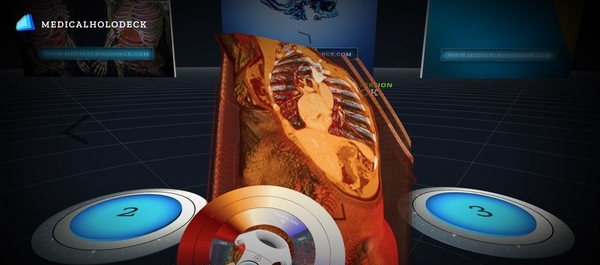 [VR交流学习] 人体解刨学（Medicalholodeck Pro Free Trial）vr game c...