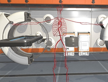 外科三维骨骼 Surgical Study and 3D Skeletons for Medical School Students