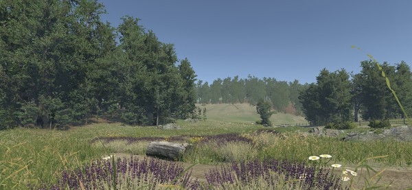 [VR交流学习] 熏衣草世界（Lavender）vr game crack