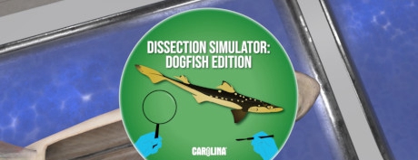 [VR交流学习]解剖模拟器：狗鲨 (Dissection Simulator: Dogfish Edition)