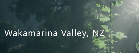 [VR交流学习]新西兰瓦卡马里纳山谷 (Wakamarina Valley, New Zealand)