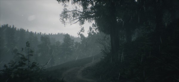 [VR交流学习]新西兰瓦卡马里纳山谷 (Wakamarina Valley, New Zealand)