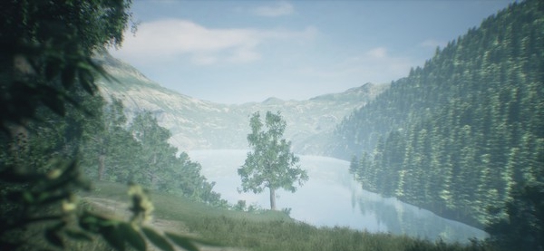 [VR交流学习]新西兰瓦卡马里纳山谷 (Wakamarina Valley, New Zealand)