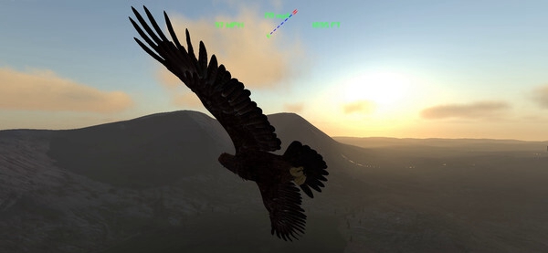[VR游戏下载] 雄鹰飞行模拟器 (Aquila Bird Flight Simulator)