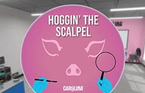 [Oculus quest] 解剖家猪 VR (VR Pig Dissection: Hoggin’ the Scalpel)