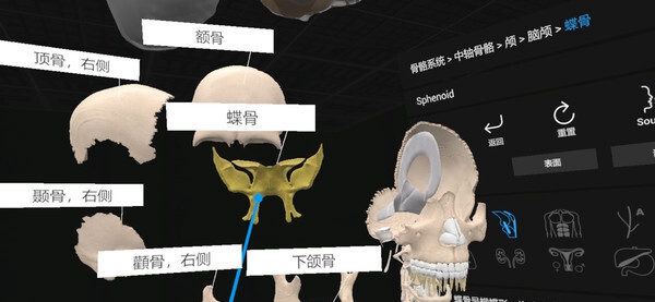 [VR游戏下载] 认识人体解剖 VR（Everyday Anatomy VR）