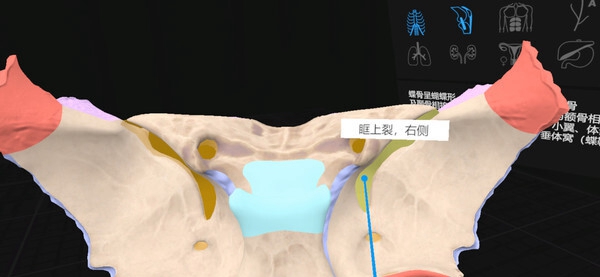 [VR游戏下载] 认识人体解剖 VR（Everyday Anatomy VR）