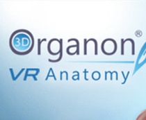 [Oculus quest]3D Organon VR 人体解剖学(3D Organon VR Anatomy 2021)