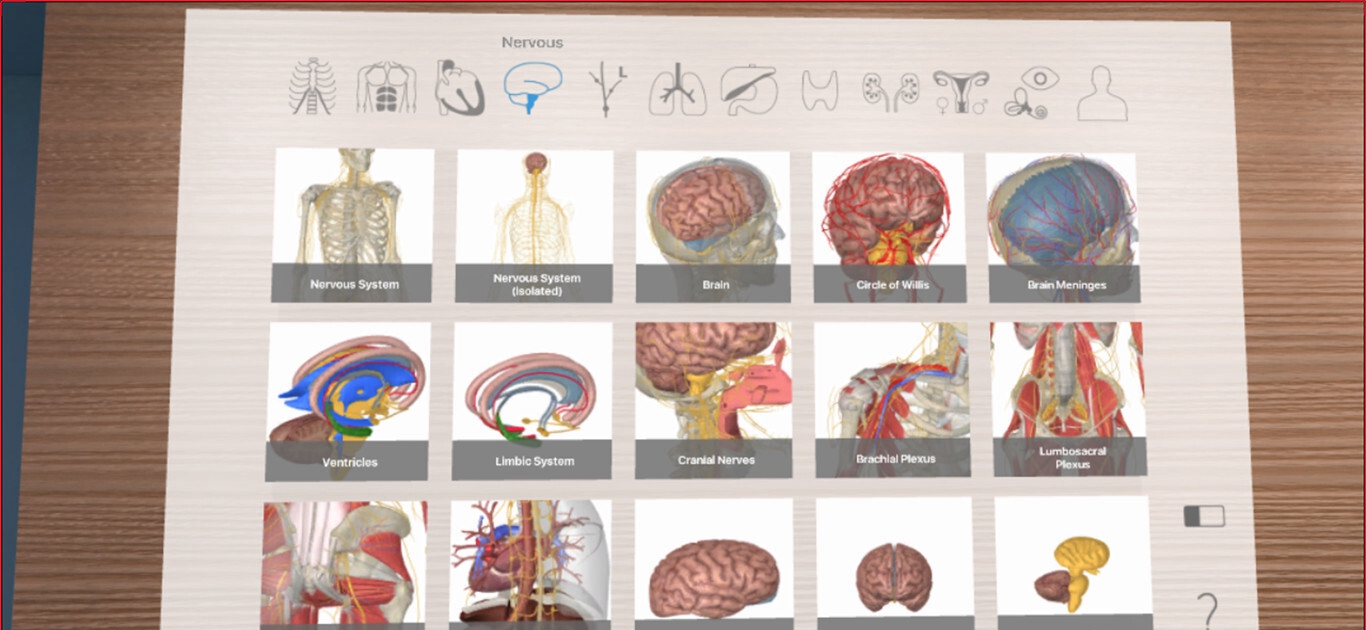 [Oculus quest]3D Organon VR 人体解剖学(3D Organon VR Anatomy 2021)