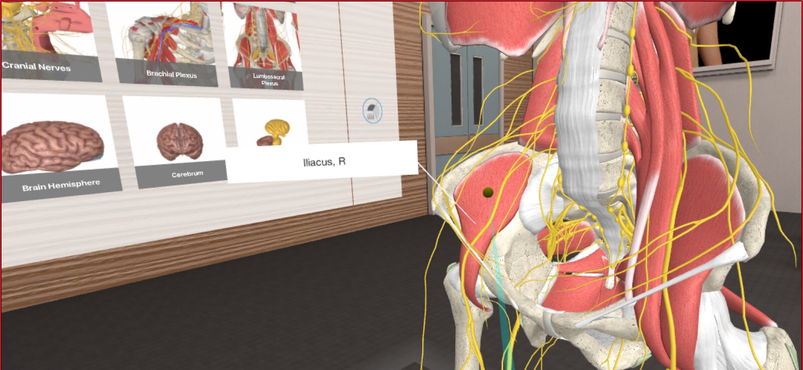 [Oculus quest]3D Organon VR 人体解剖学(3D Organon VR Anatomy 2021)