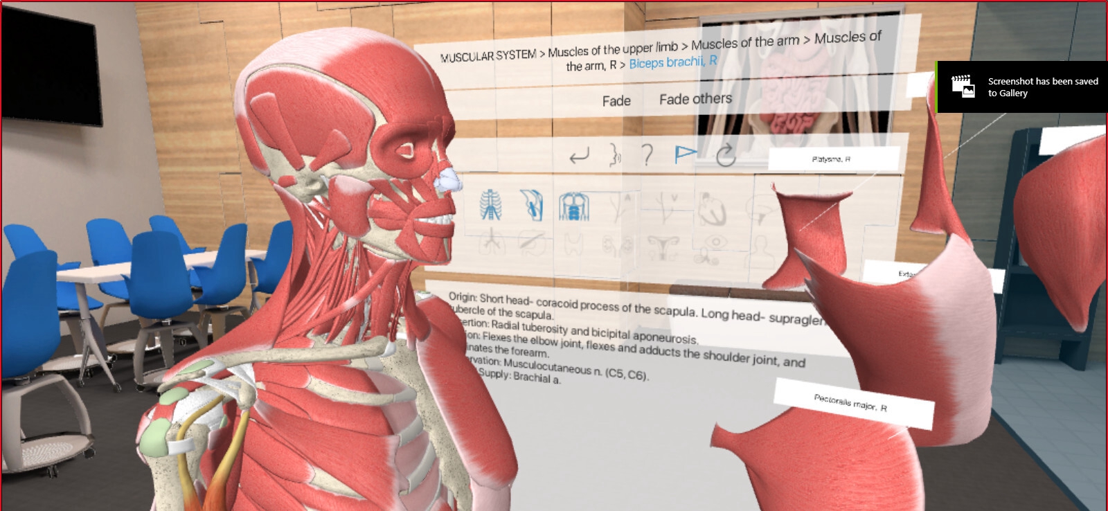 [Oculus quest]3D Organon VR 人体解剖学(3D Organon VR Anatomy 2021)