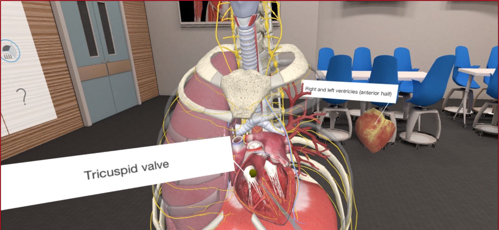 [Oculus quest]3D Organon VR 人体解剖学(3D Organon VR Anatomy 2021)