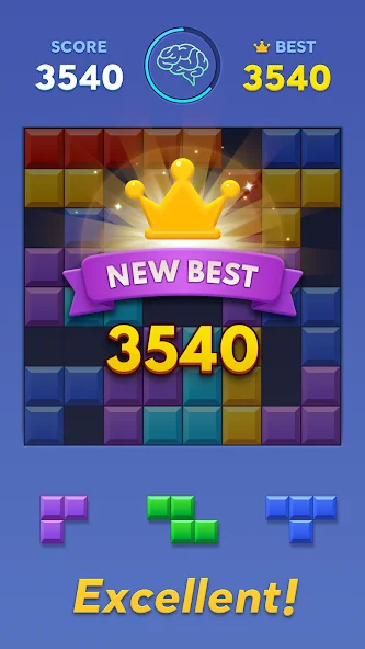 Block Blast!截图4