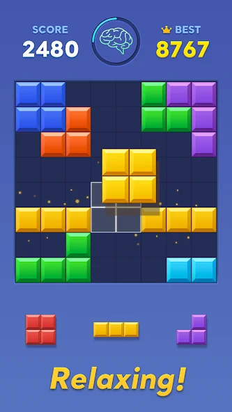 Block Blast!截图9