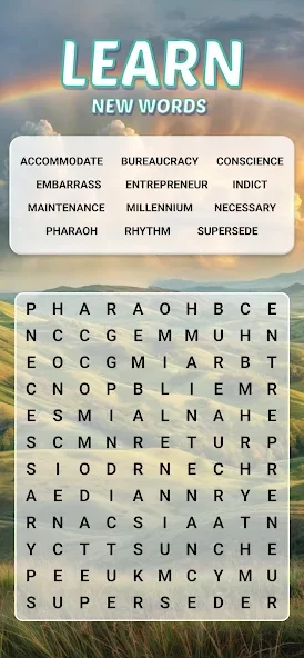 Word Search Explorer截图3