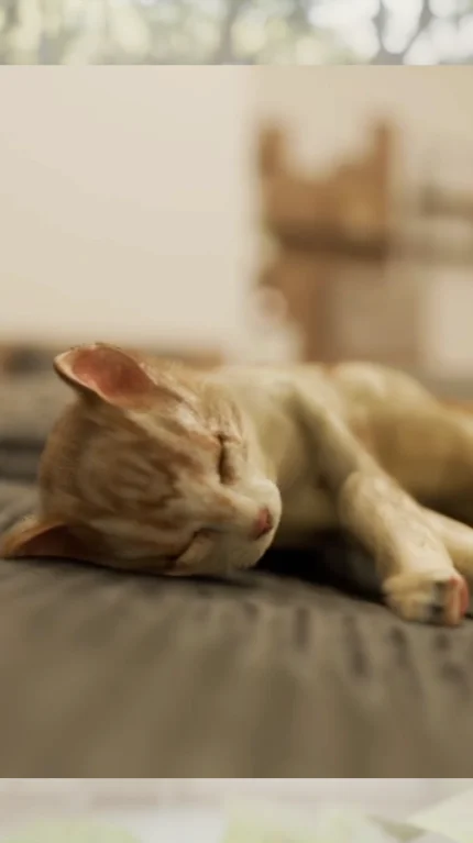 《Escape Game寝室里有一只猫》正式上线以有猫登场的安静寝室为舞台的短篇逃脱游戏